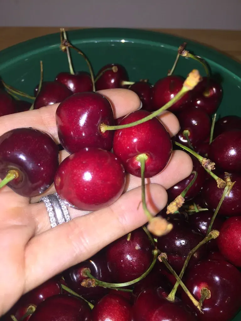 4. Cherries - Dangerously Snackable (wellnesswildflower, Flickr, CC BY 2.0)