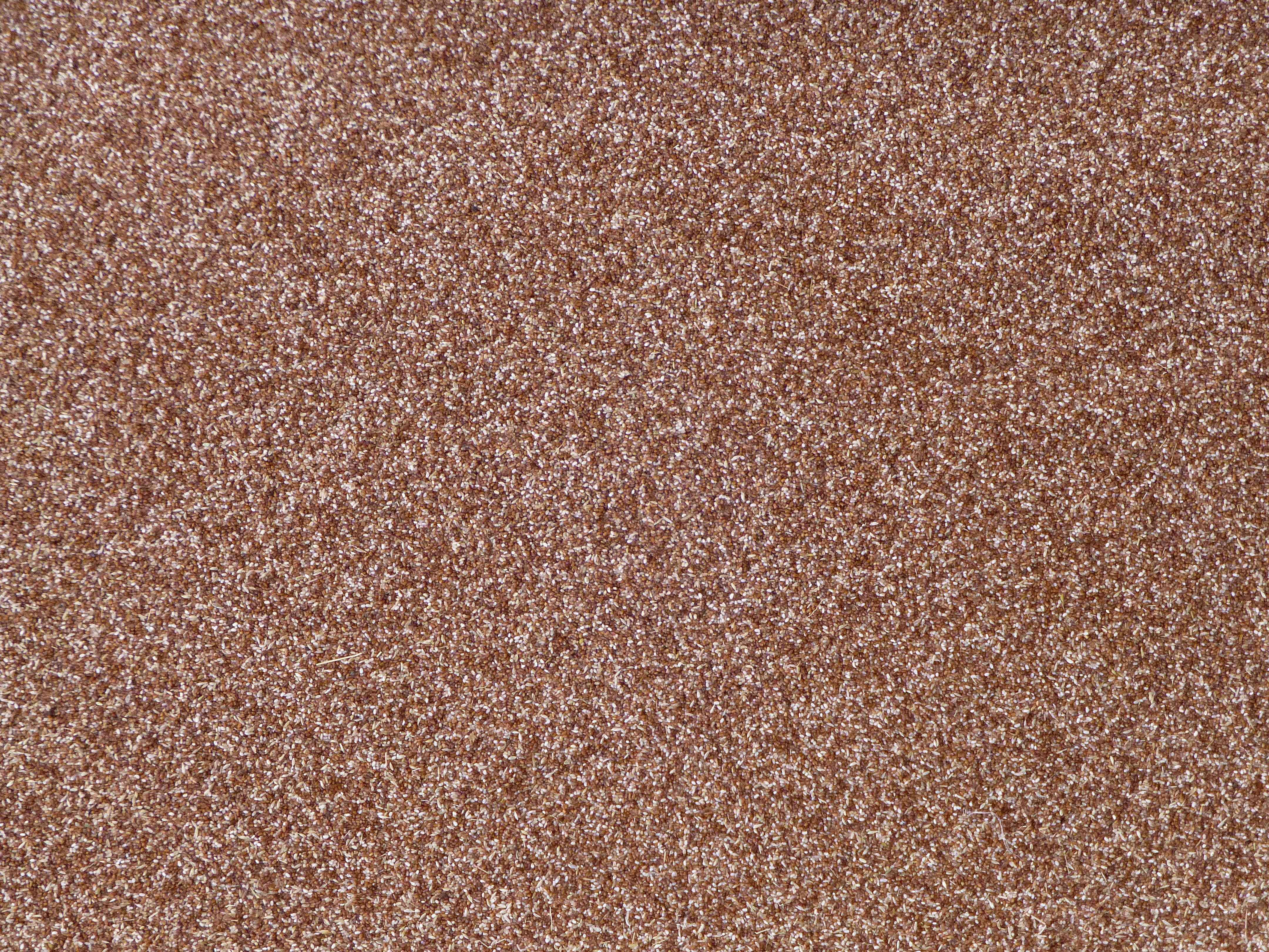 Teff: Ethiopia's Tiny Treasure (image credits: wikimedia)