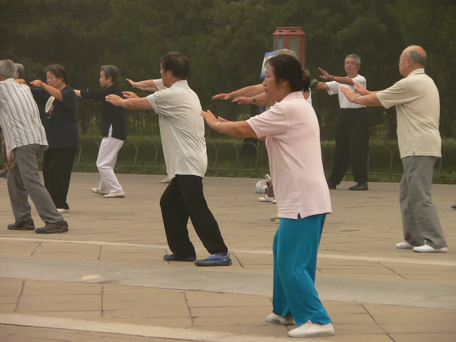 6. Tai Chi: The Ancient Practice With a Modern Scientific Stamp of Approval (Image Credits: Wikimedia)
