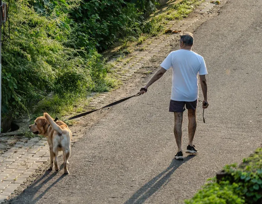 Dog Walking Seniors Are Meeting Physical Activity Goals Others Miss (Image Credits: Pexels)