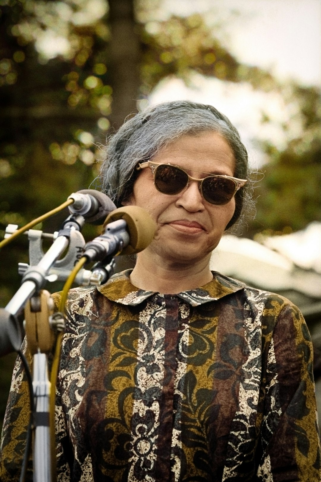 Rosa Parks Sparks the Montgomery Bus Boycott (image credits: unsplash)