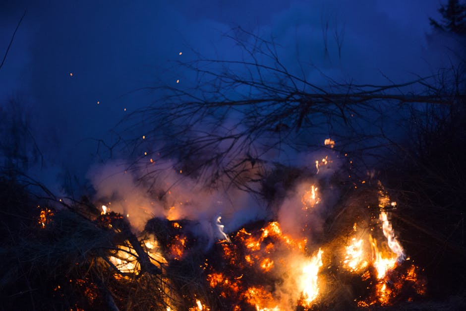 The Economic and Environmental Impact (image credits: pexels)