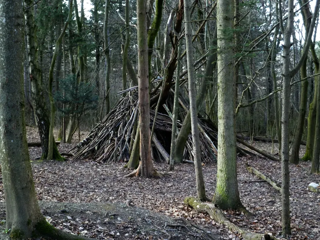 3. Forts and Hideouts in the Woods (Image Credits: Unsplash)