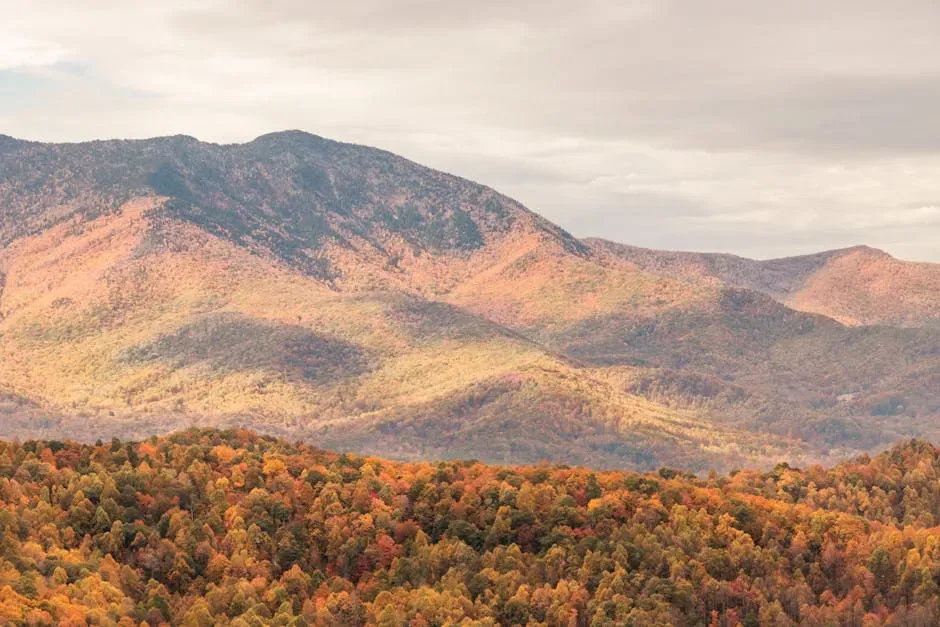 Elevation Acts as a Climate Refuge (Image Credits: Pexels)