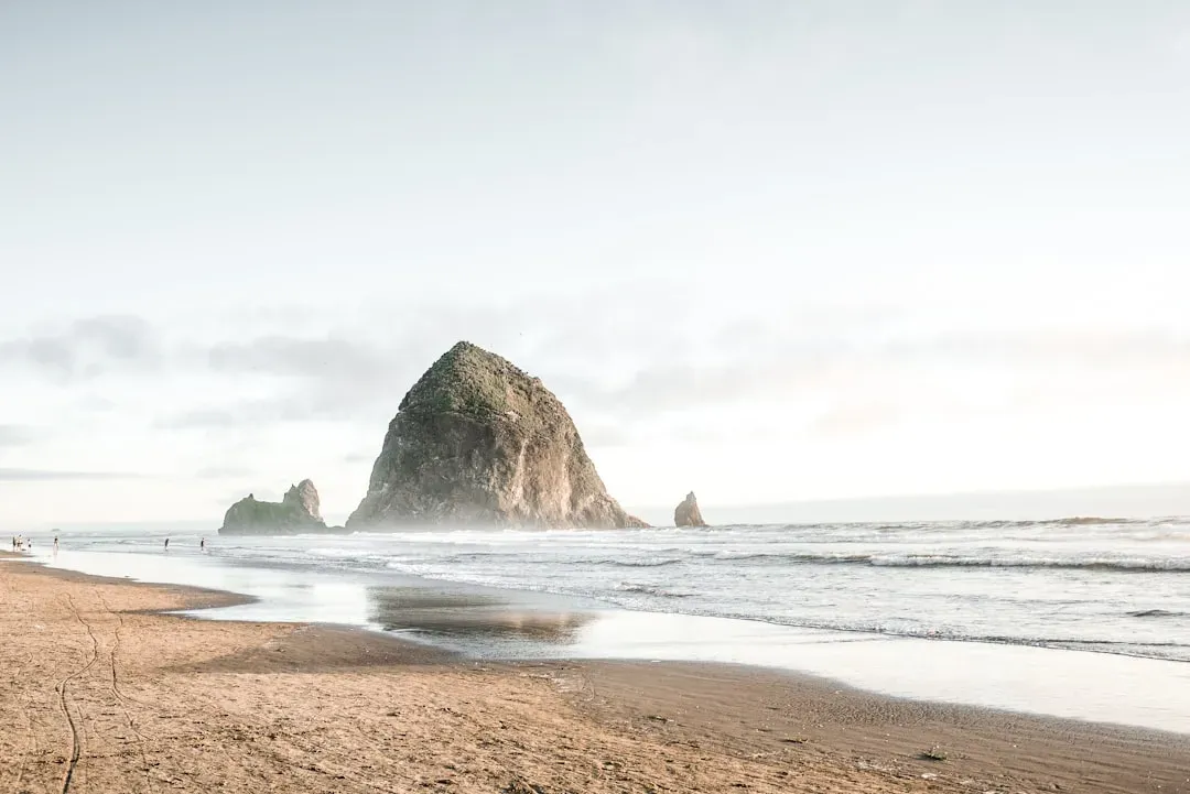 5. The Oregon Coast: Wild, Windswept, and Wonderfully Affordable (Image Credits: Unsplash)