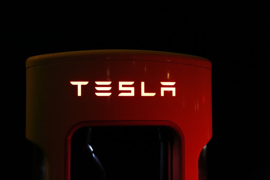 The Role of Renewable Energy in Supporting EVs (image credits: pexels)