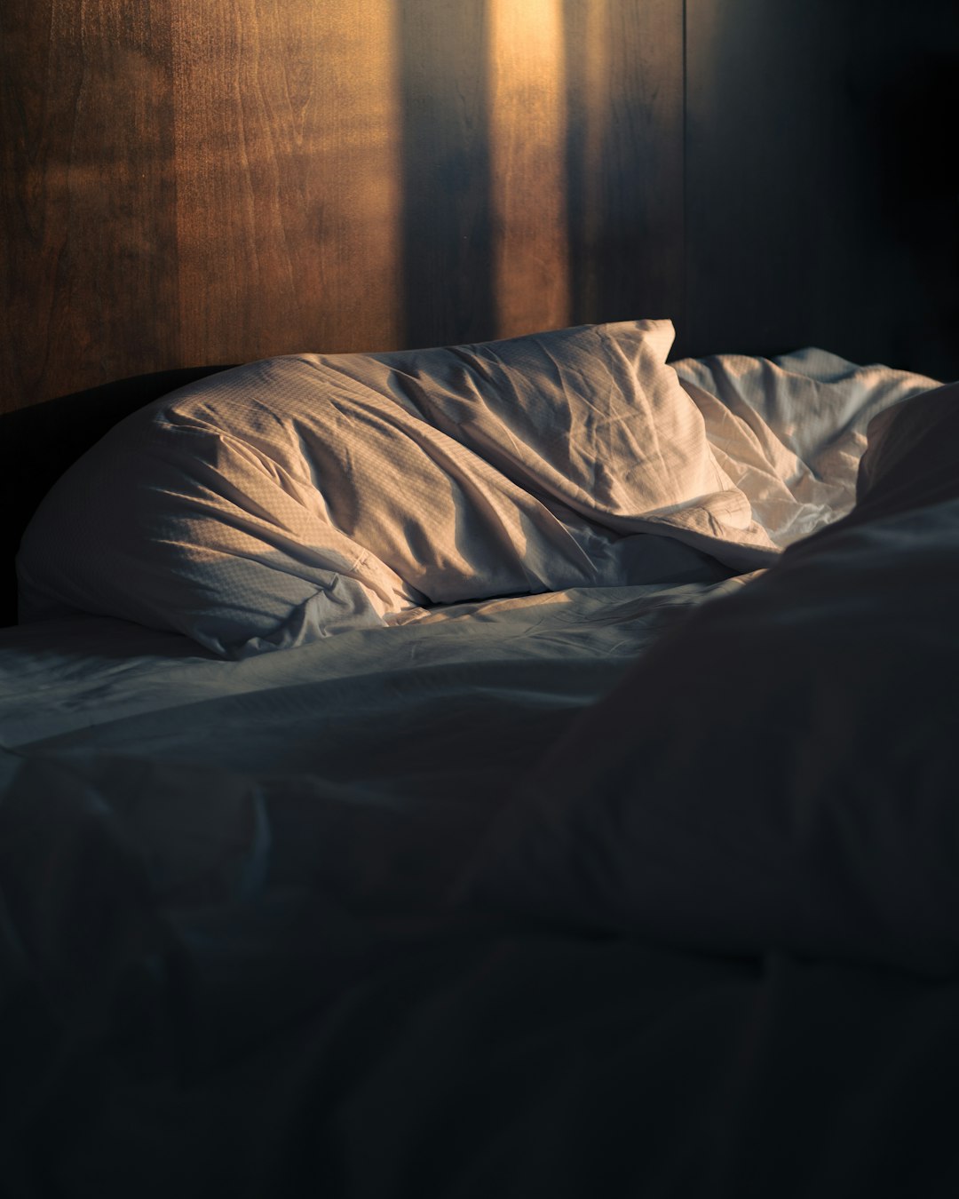 Travel Pillow and Blanket (image credits: unsplash)