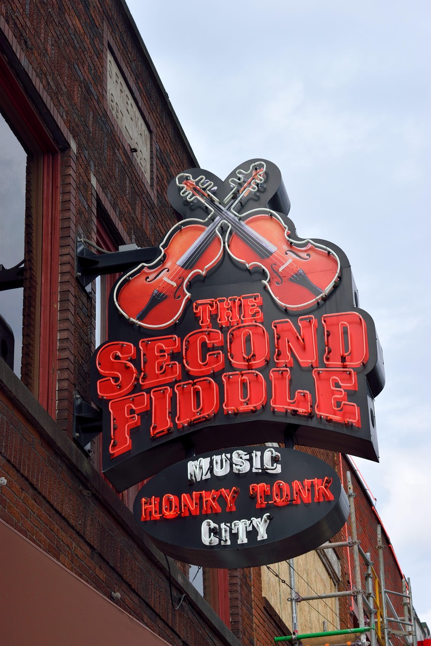 Future Prospects: A Bright Horizon for Tennessee Music (image credits: pixabay)