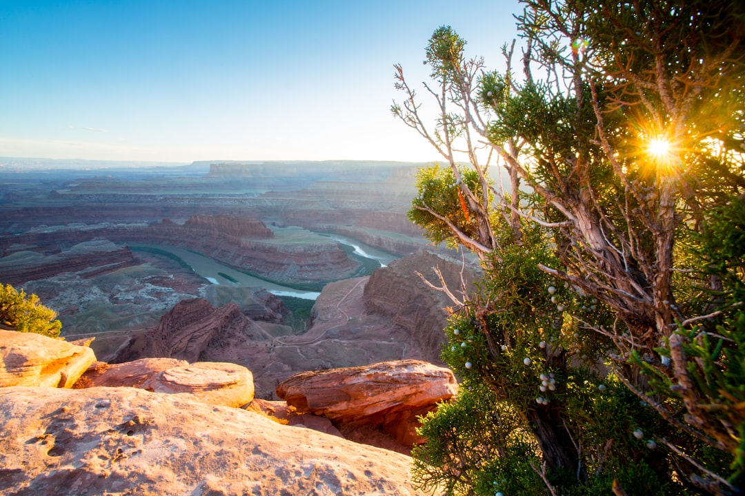 Tourism Revenue Powers Regional Economies (image credits: unsplash)