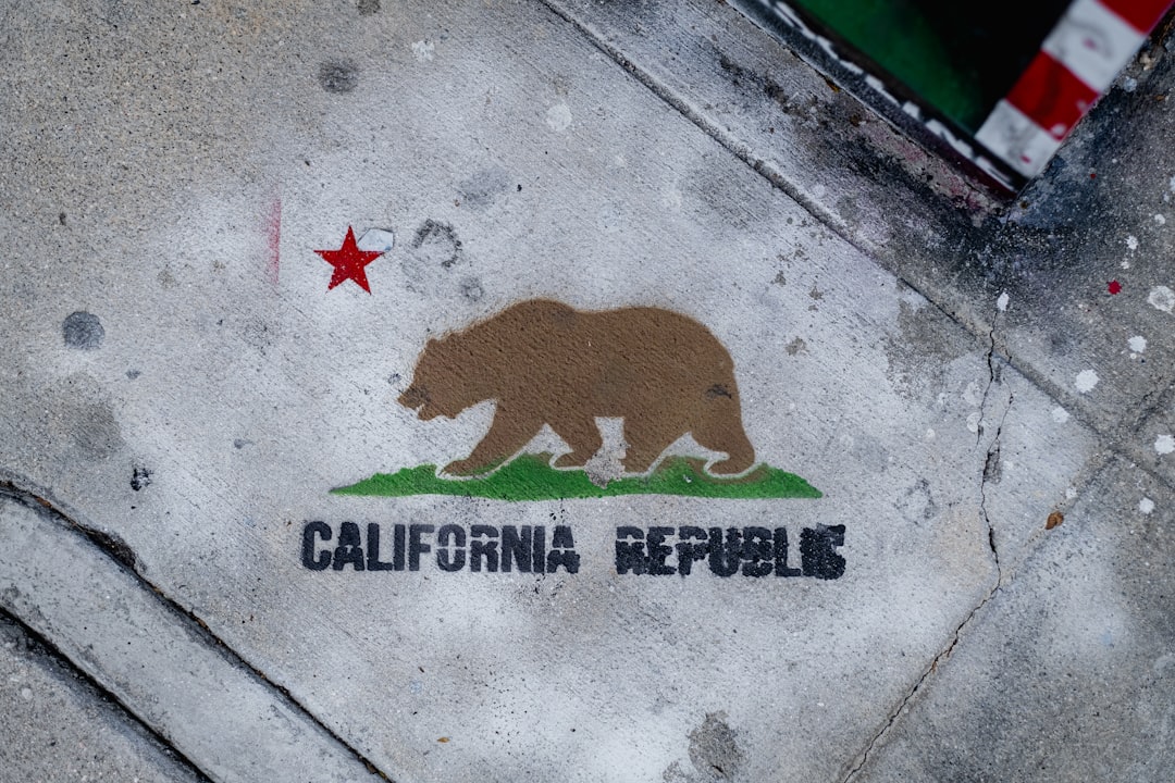 The Republic That Nobody Asked For (image credits: unsplash)