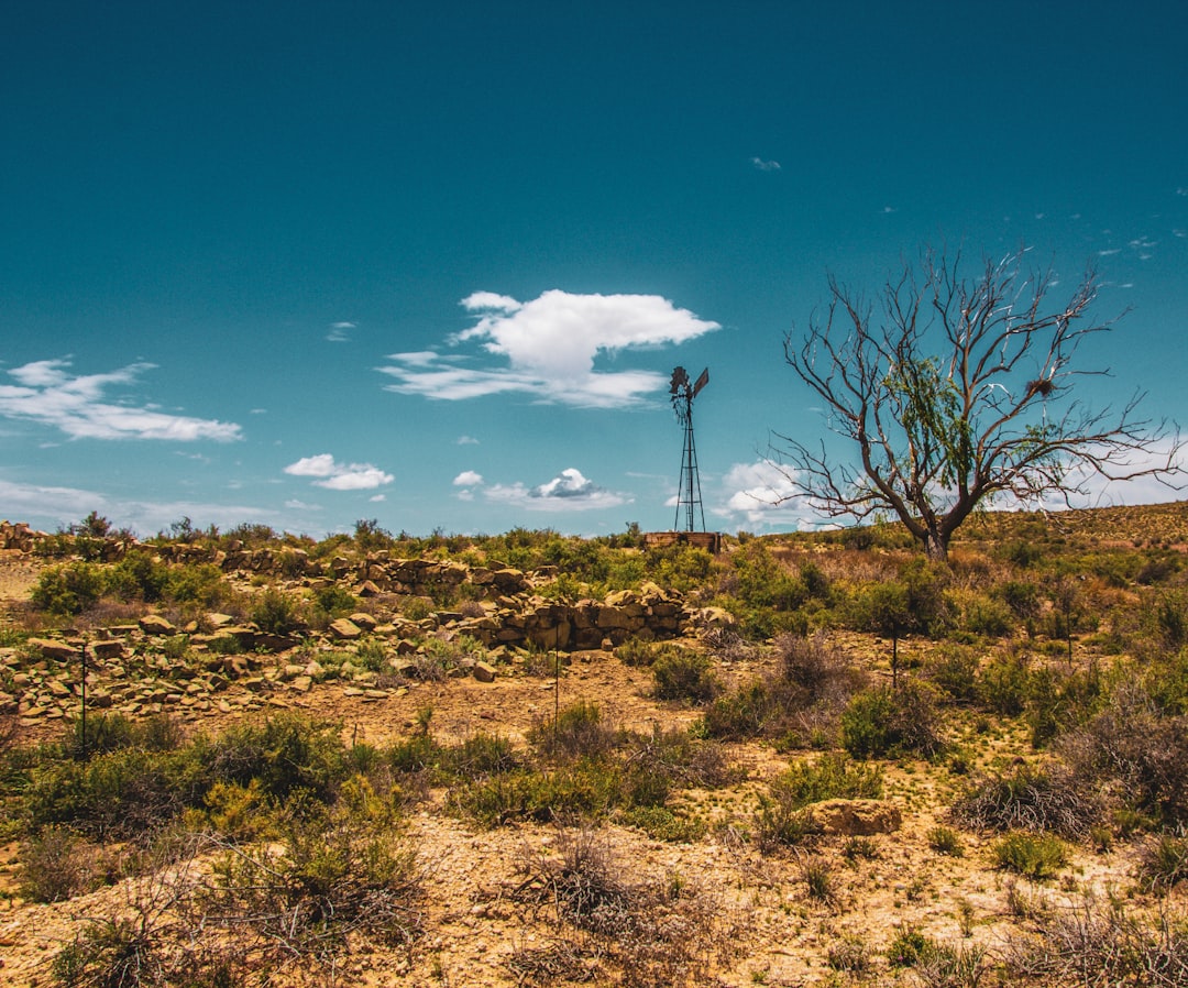 The Climate Change Multiplier Effect (image credits: unsplash)
