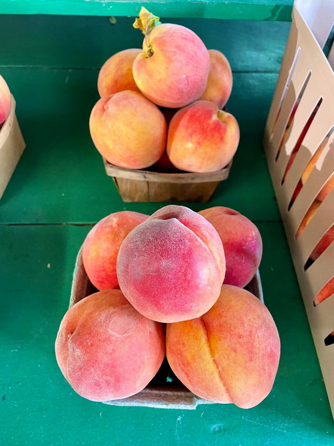 The Peach State Might Not Have Peaches Much Longer (image credits: unsplash)