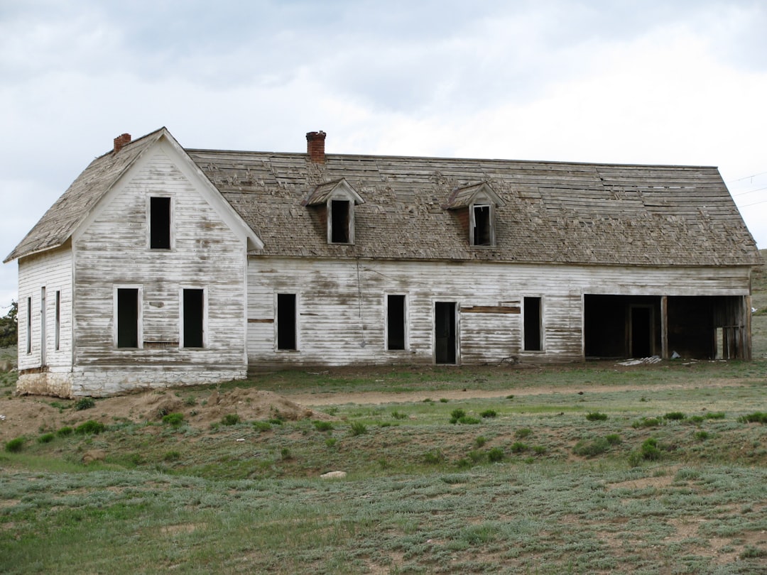 Worthsville and Pushville - Twin Settlements of Greenwood (image credits: unsplash)