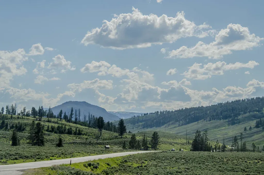 Wyoming: Standing Too Close to Others (Image Credits: Flickr)