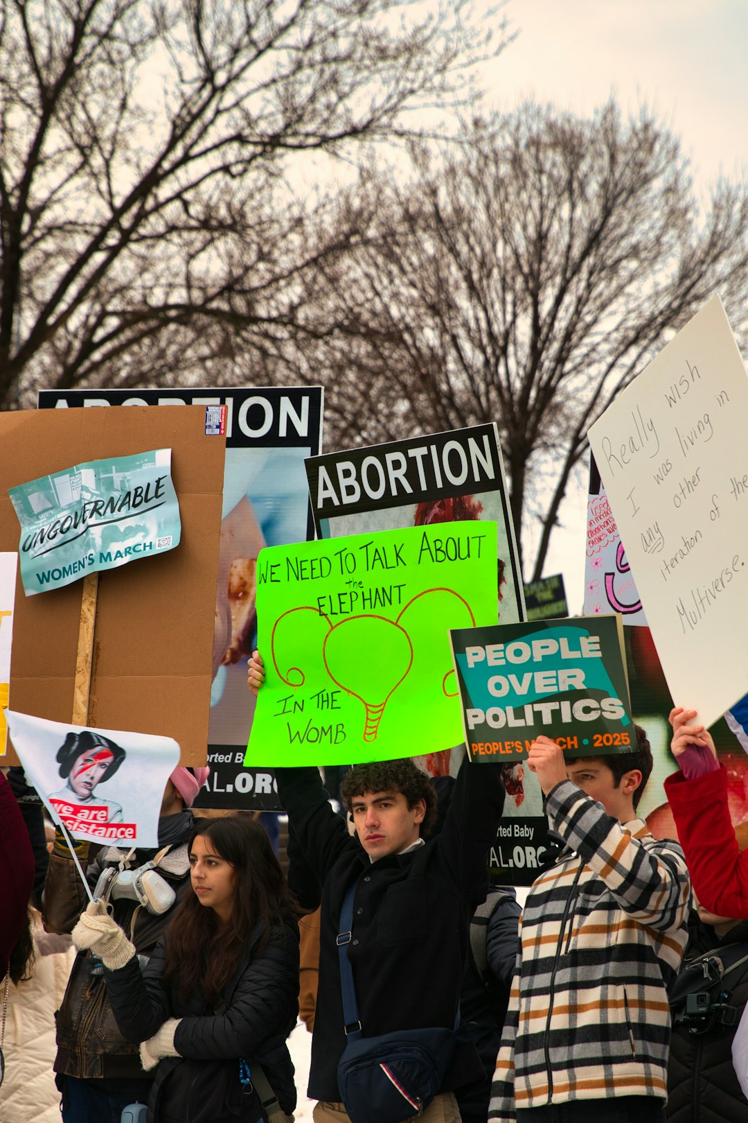 Virginia Voters Reject Abortion Ban Attempt (image credits: unsplash)
