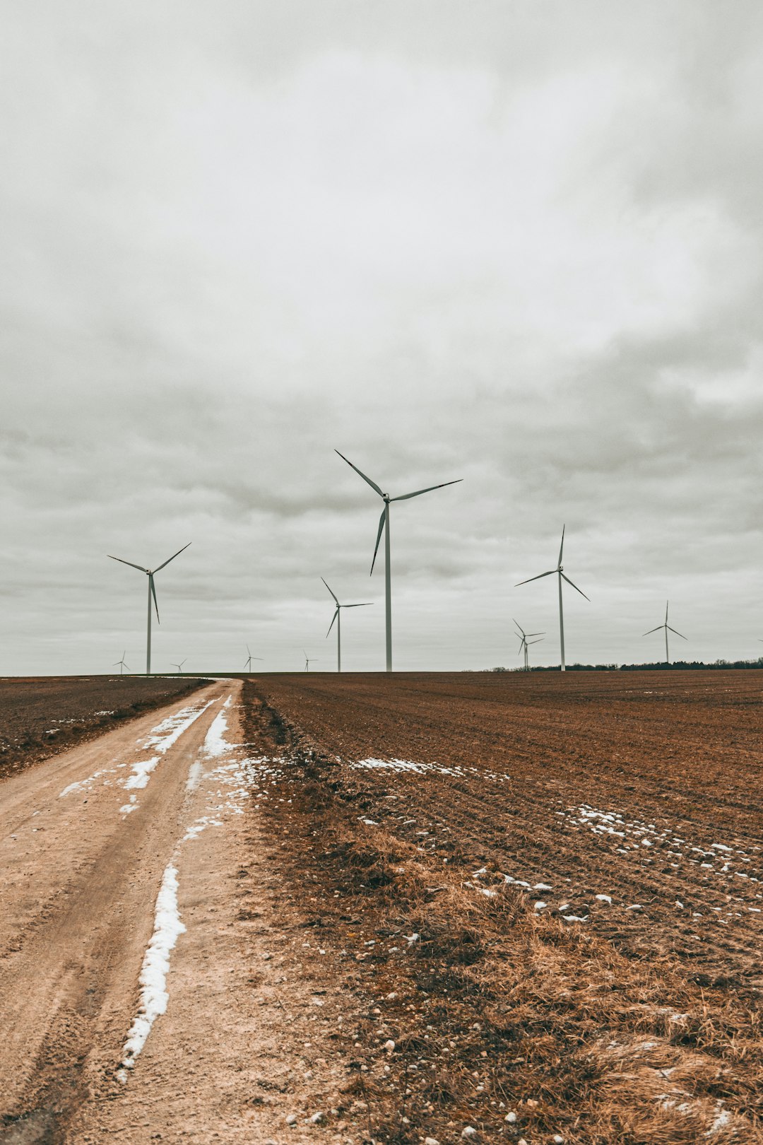 Rural Communities Striking It Rich (image credits: unsplash)