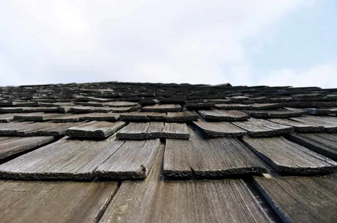Roof Leaks That Never Stopped (Image Credits: Unsplash)