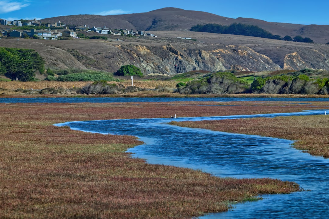 Water Wars and Watershed Wisdom (image credits: unsplash)