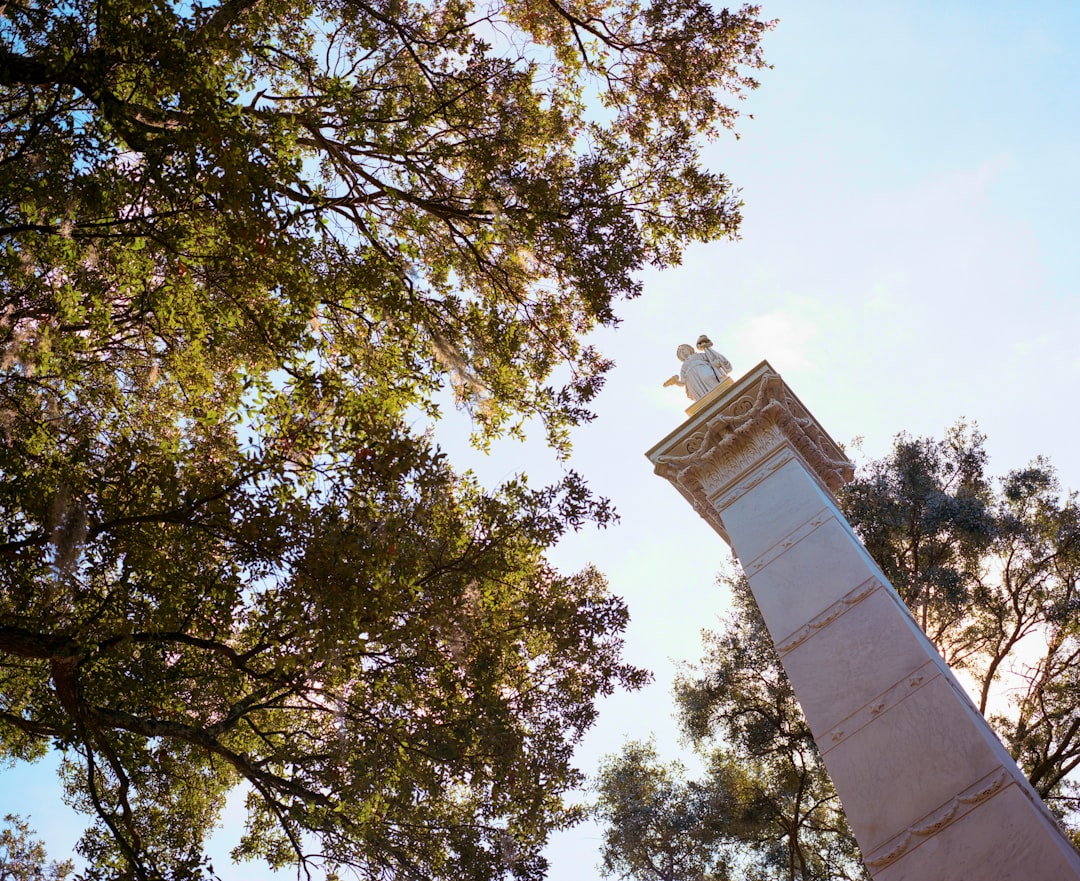 Law Enforcement Reflects Civil War Divisions (image credits: unsplash)