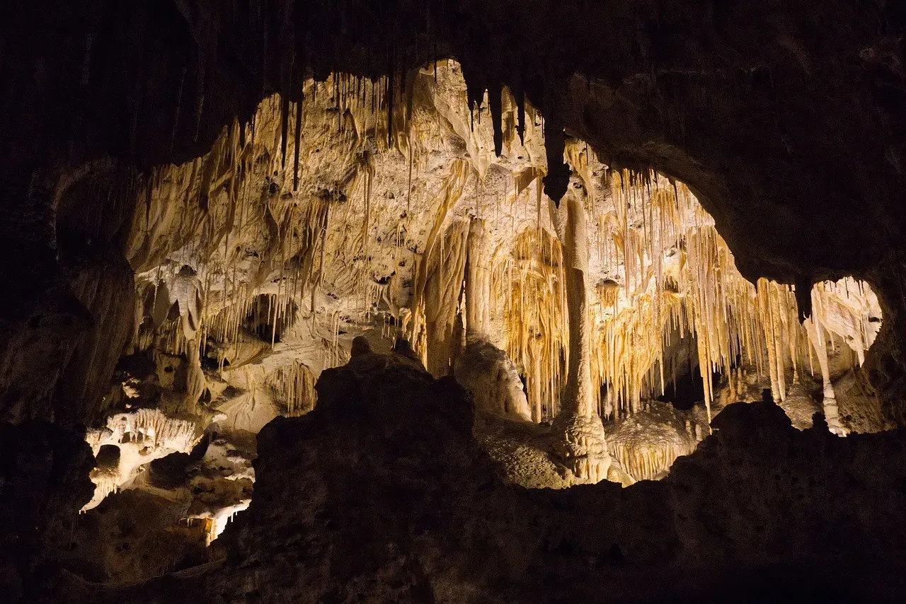 Carlsbad Caverns National Park (Image Credits: Pixabay)