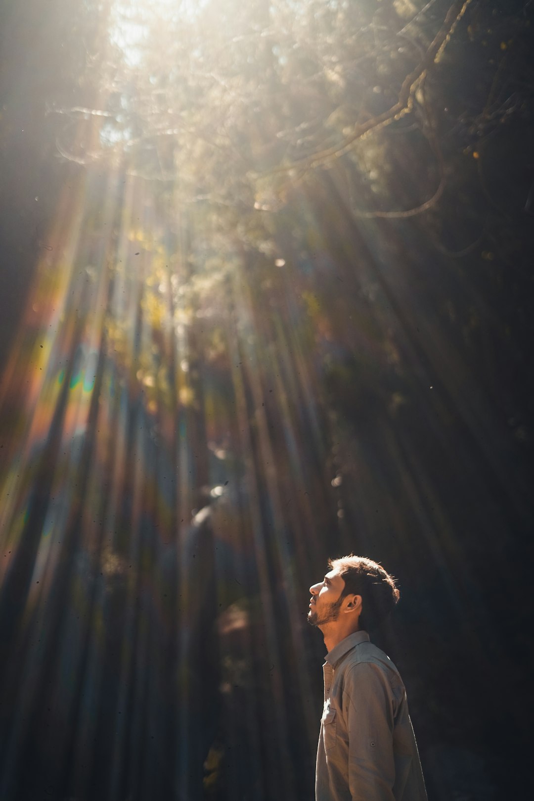 Leo: The Charismatic Leader (image credits: unsplash)