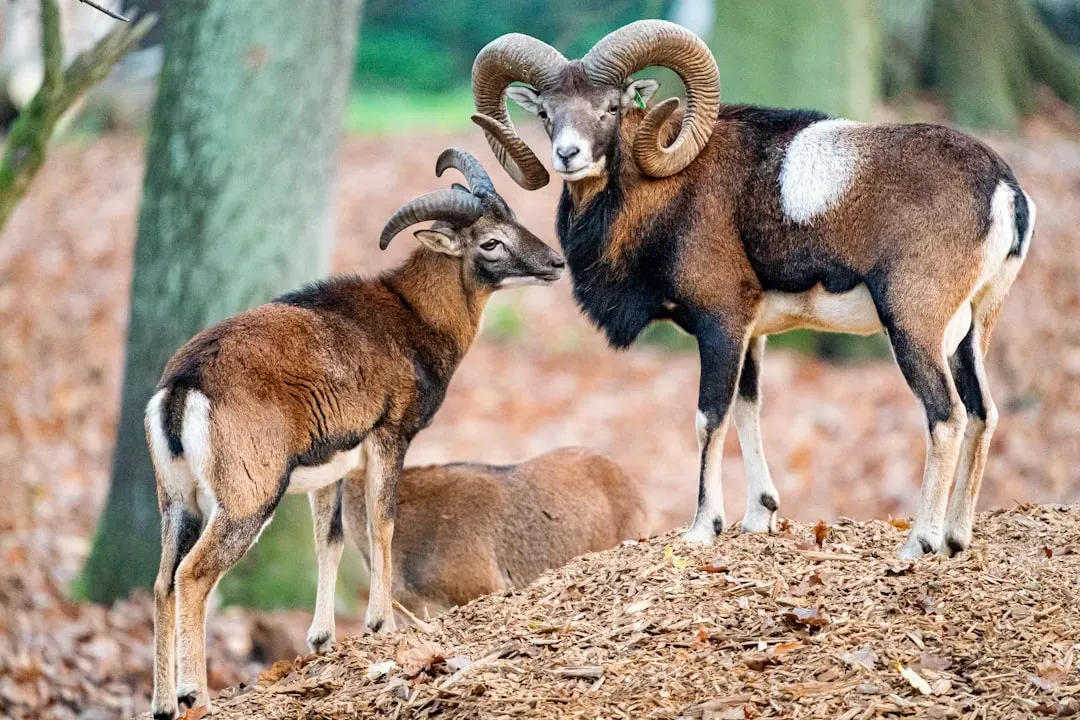 Pushing Boundaries for Excellence (Image Credits: Unsplash)