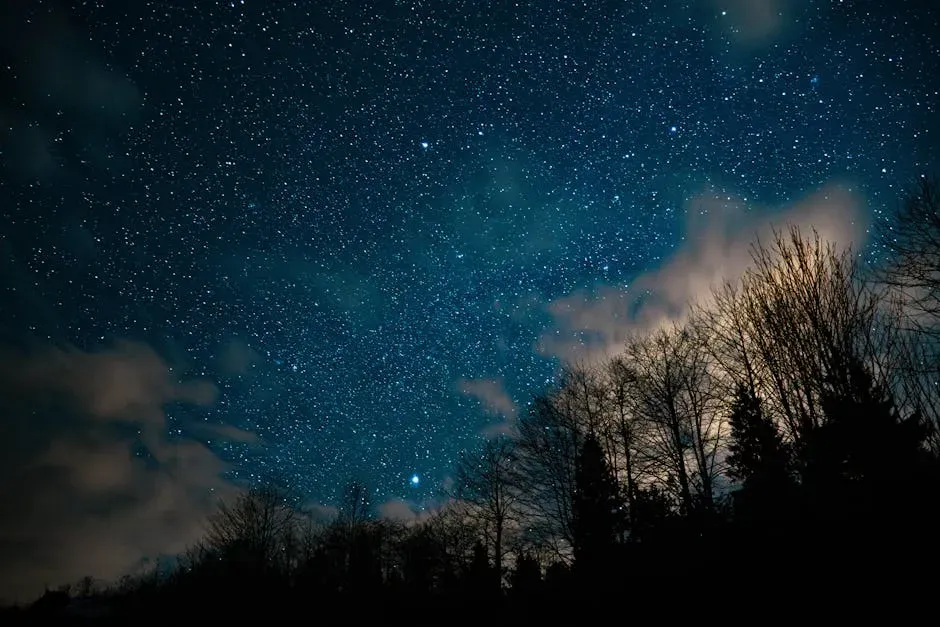 Sound Descriptions Unite Reports (Image Credits: Pexels)