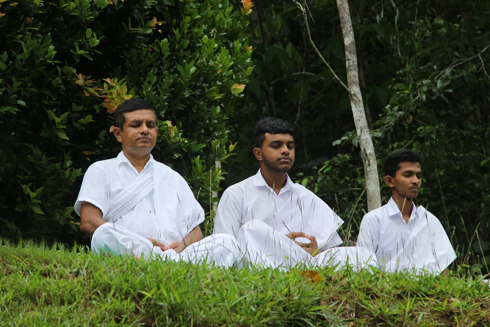 Aries: Dissolving Illusions of Control (By SadahamYathra, CC0)