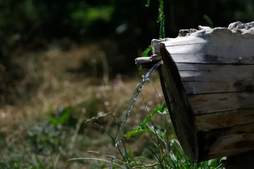 Sustainability Calls for Simplicity (Image Credits: Unsplash)