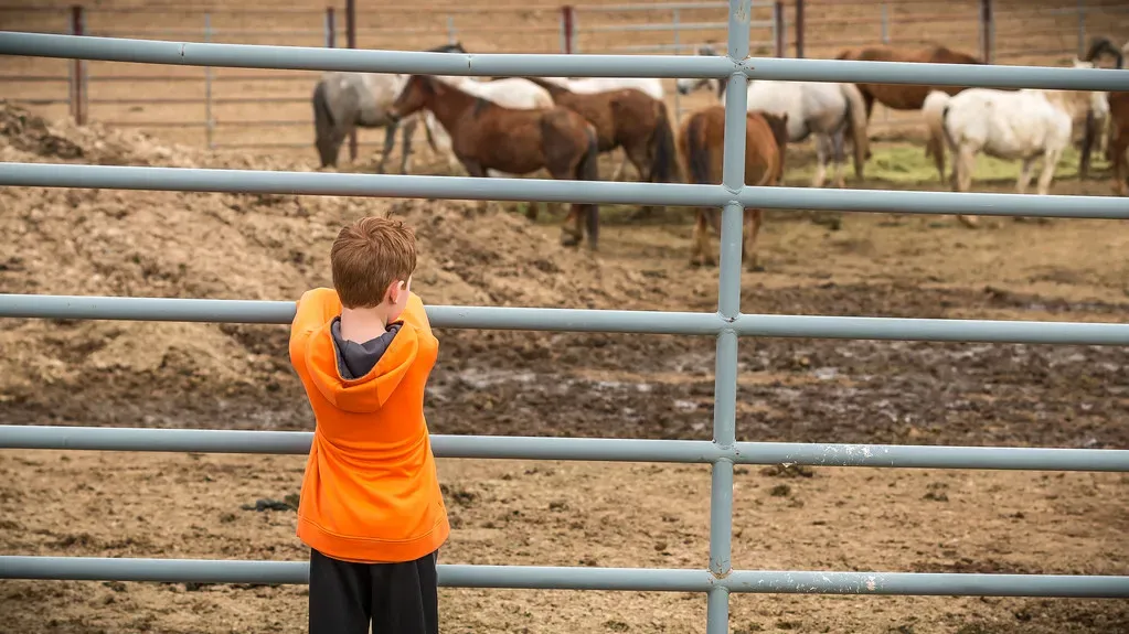 2. How Many Wild Horses Are Actually Out There? (BLM Oregon & Washington, Flickr, CC BY 2.0)