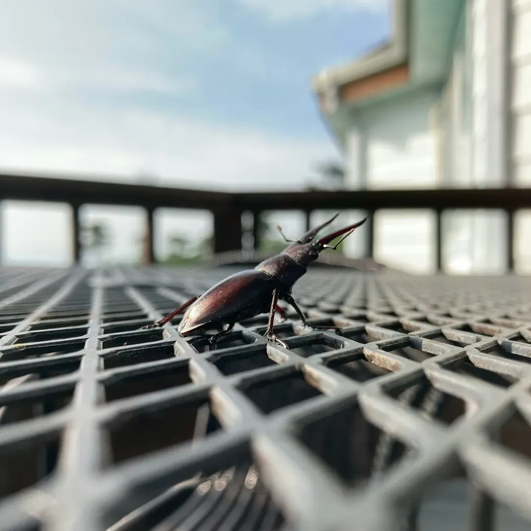 6. Baseboards Along the Walls (Image Credits: Unsplash)