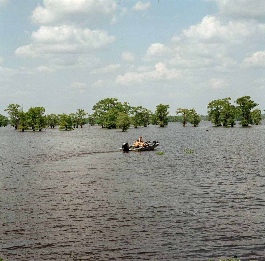 Louisiana Drowning in a Geographic Nightmare (image credits: unsplash)