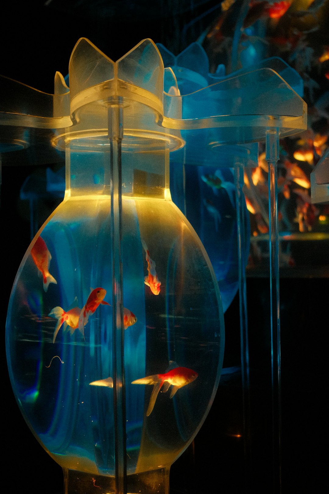 Aquarius Unleashes Revolutionary Thinking Patterns (image credits: unsplash)