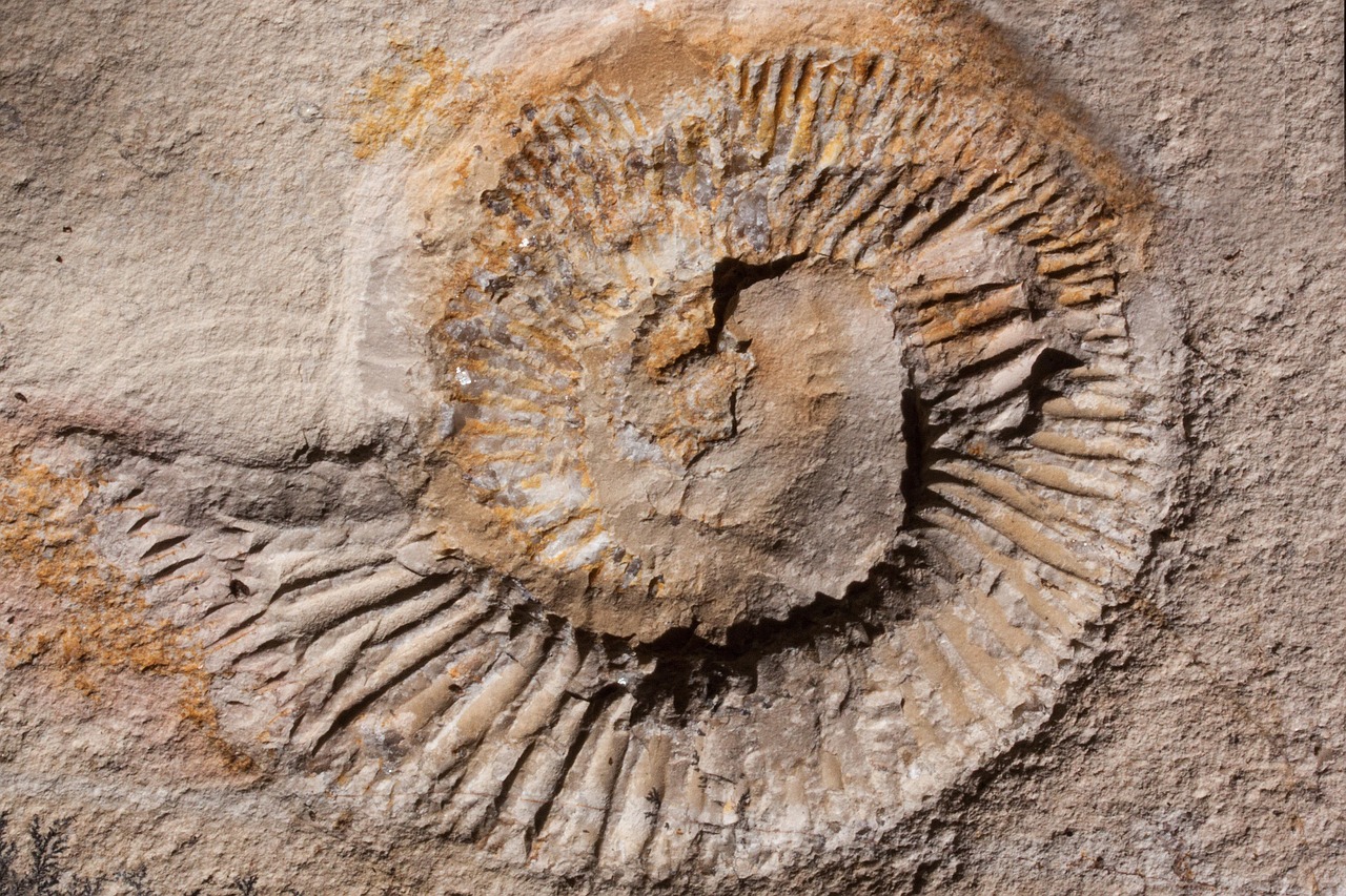 The Rich History Encoded in Sediments (image credits: pixabay)