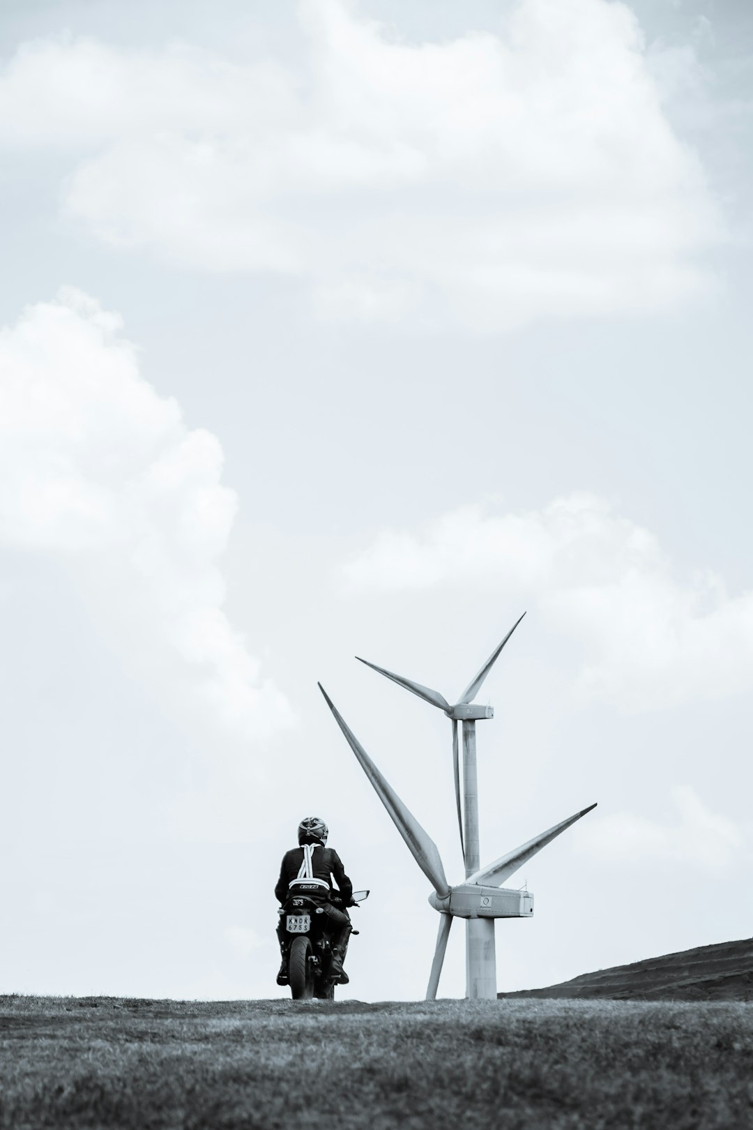 The Job Creation Machine That Nobody Expected (image credits: unsplash)