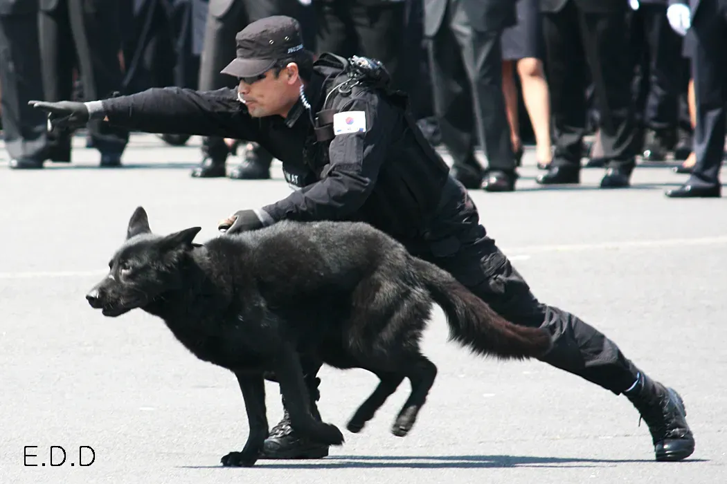 Real-World Impact Today (By Icswat, CC BY-SA 3.0)