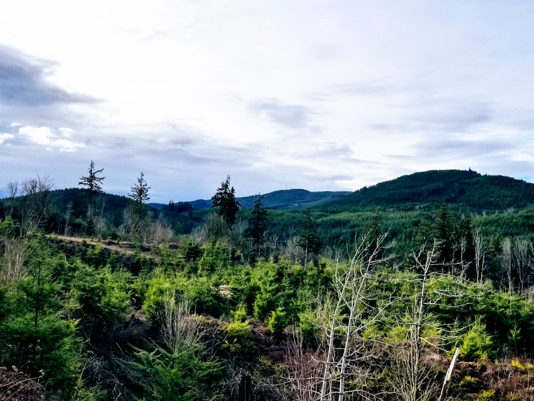 Adirondack Park State Lands, New York (image credits: unsplash)