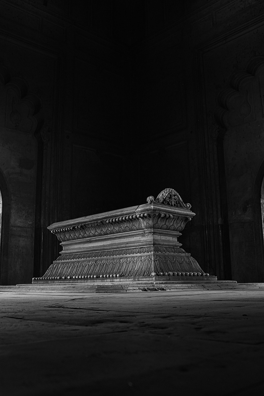 Lessons from the Past: A Call for Reflection (image credits: pixabay)