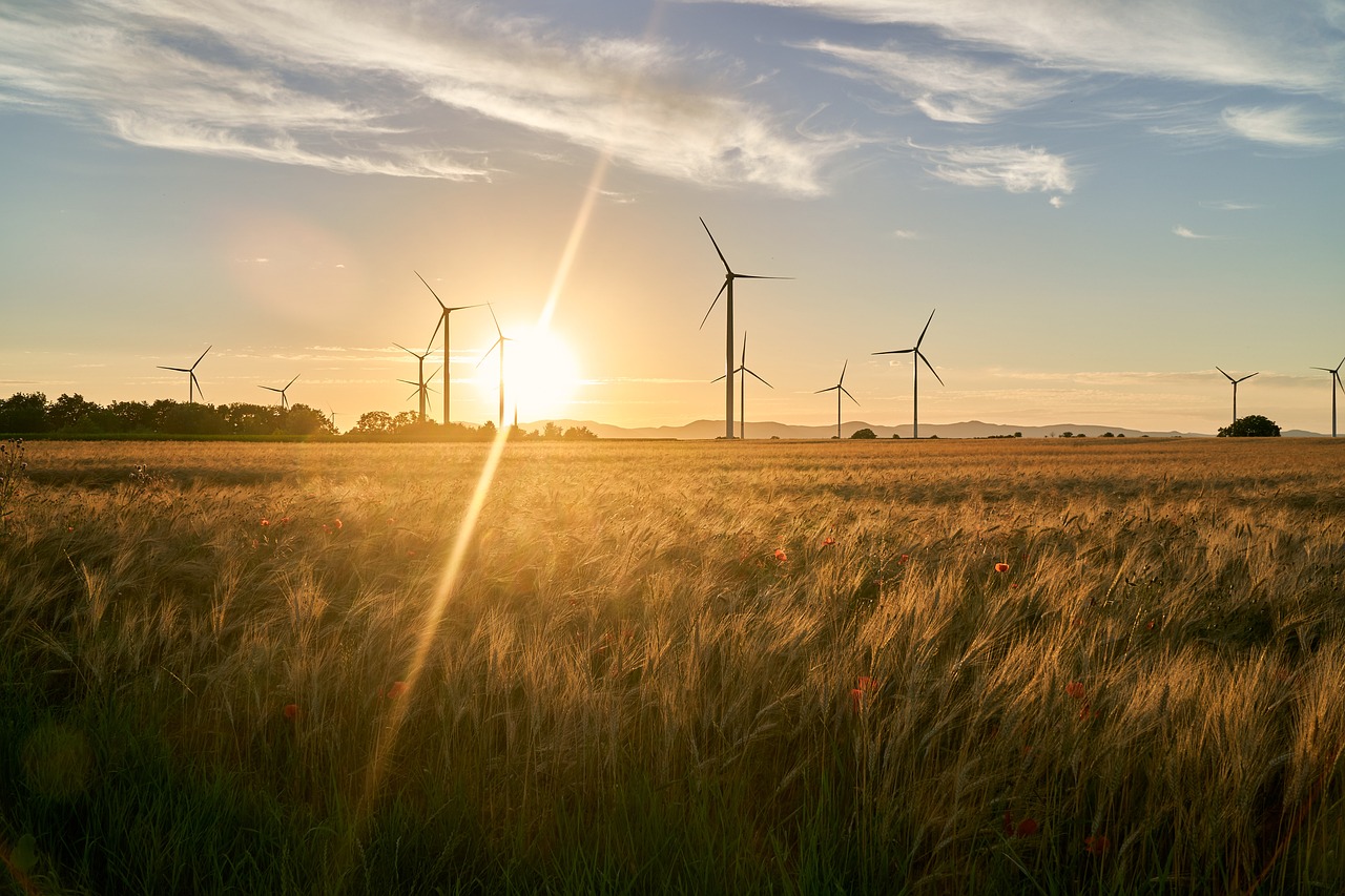 Challenges Facing Renewable Energy in Texas (image credits: pixabay)