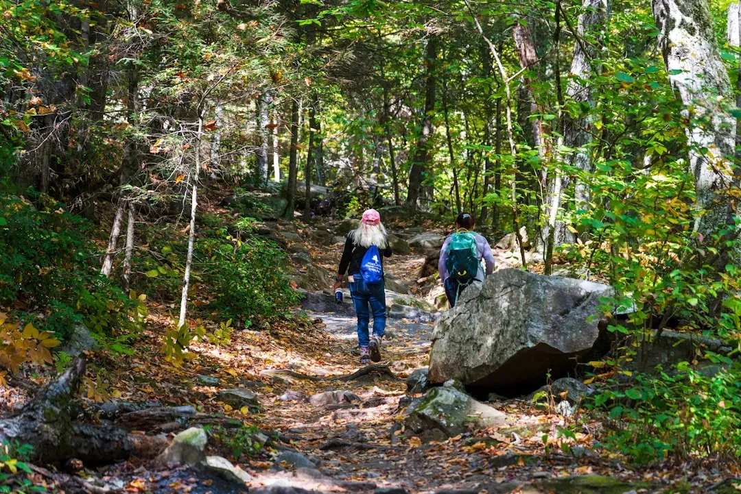 Moderate Trails: Where the Challenge Begins (Image Credits: Unsplash)