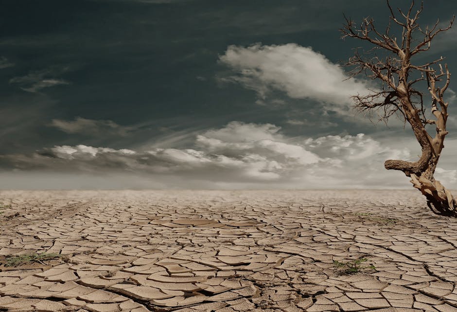 The Global Context: What This Means for the World (image credits: pexels)