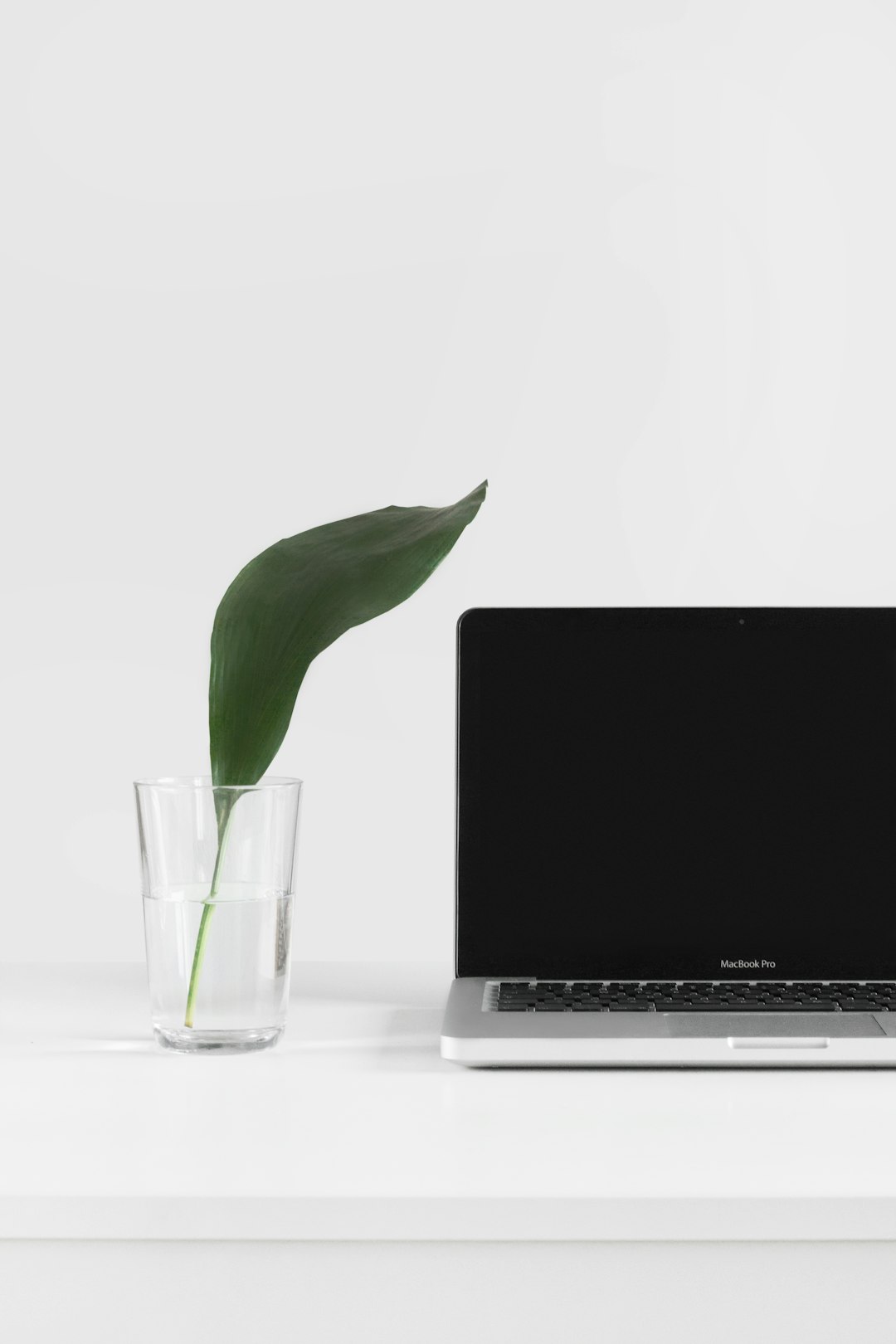 Sustainable and Eco-Friendly Choices (image credits: unsplash)