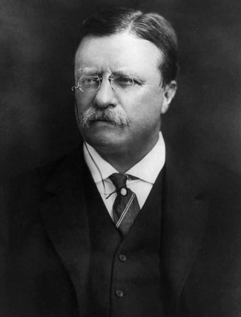 Theodore Roosevelt: The Trust-Busting Progressive Who Modernized the Presidency (image credits: flickr)