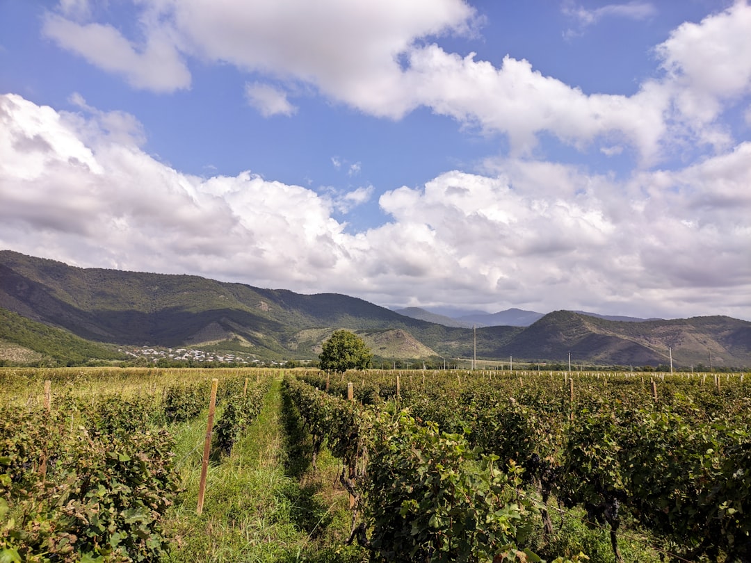 Georgia: Agricultural Struggles (image credits: unsplash)