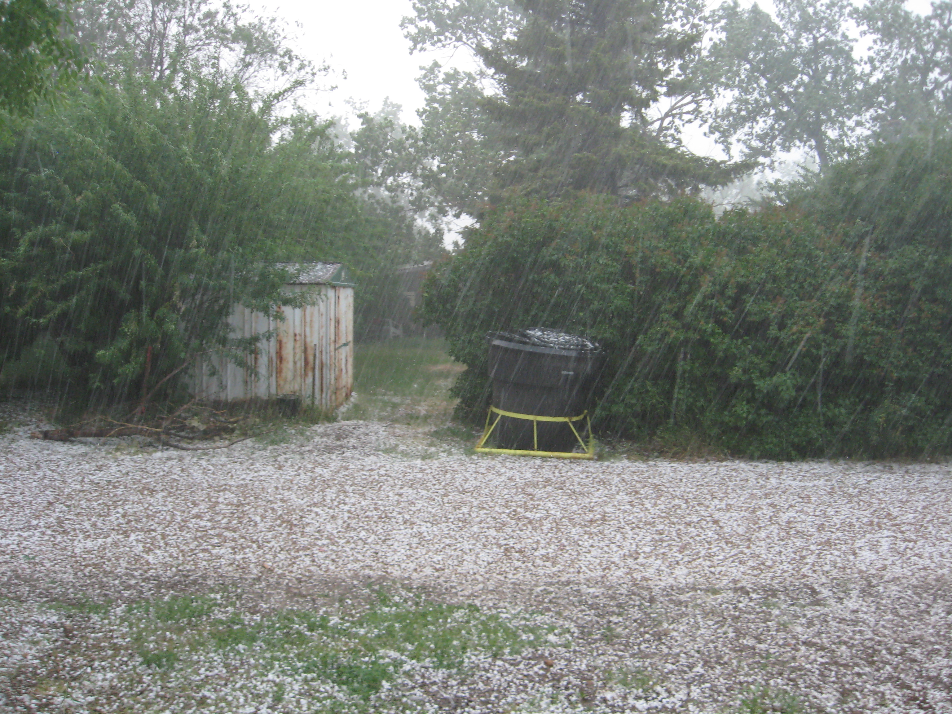 Montana's Northern Plains Join the Hail Zone (image credits: wikimedia)