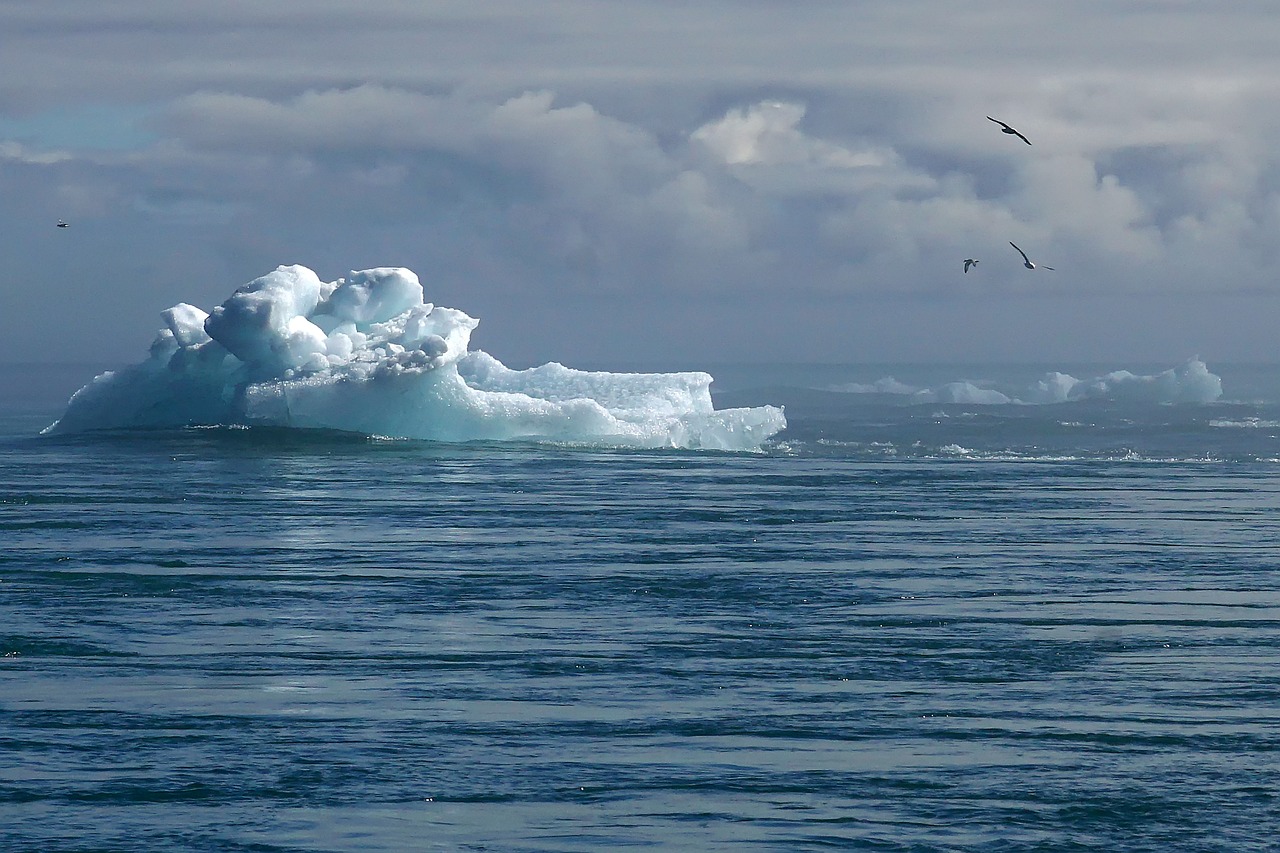 Impact of Climate Change on Fish Populations (image credits: pixabay)