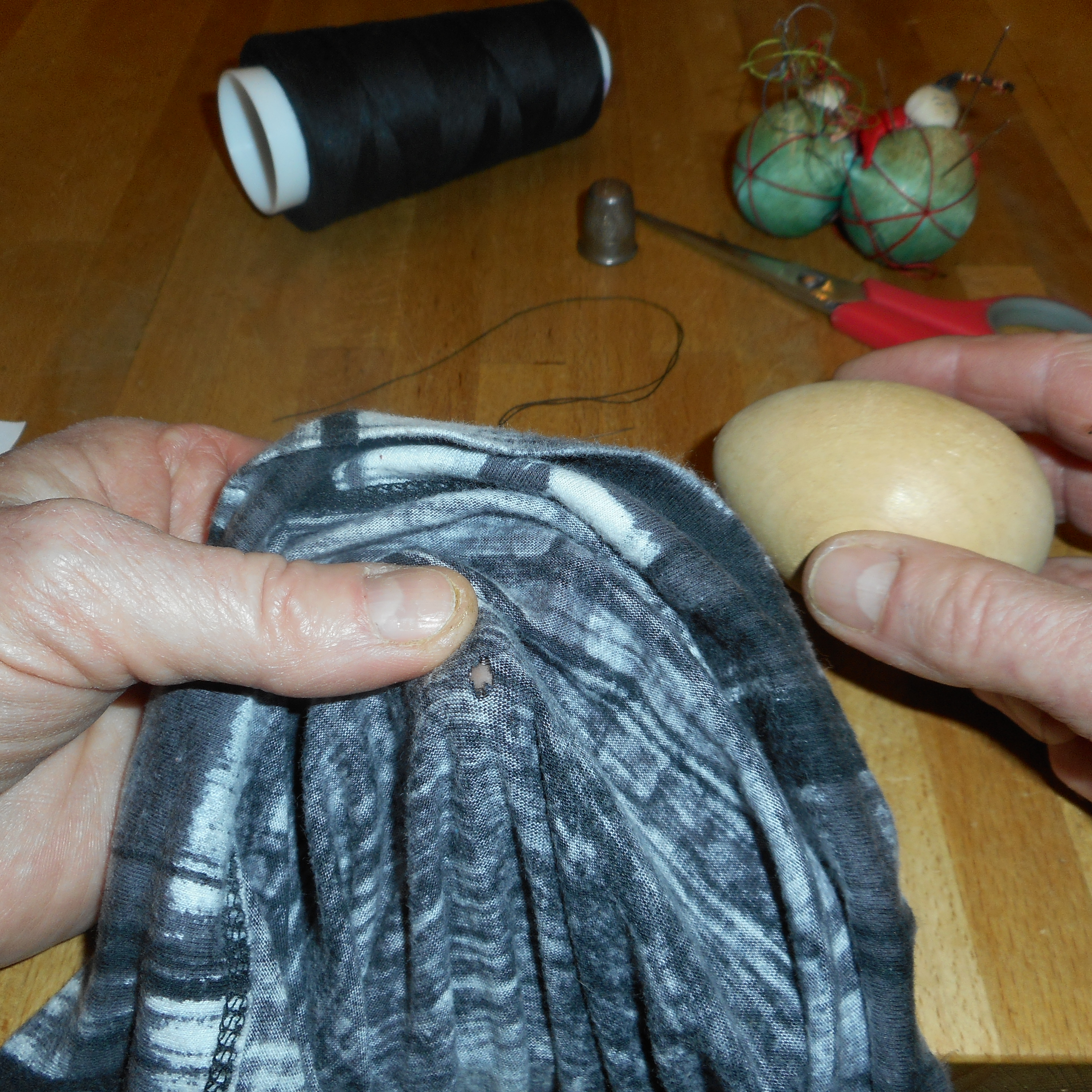 Innovative Beginnings: The Rise of Mushroom-Based Fabrics (image credits: wikimedia)