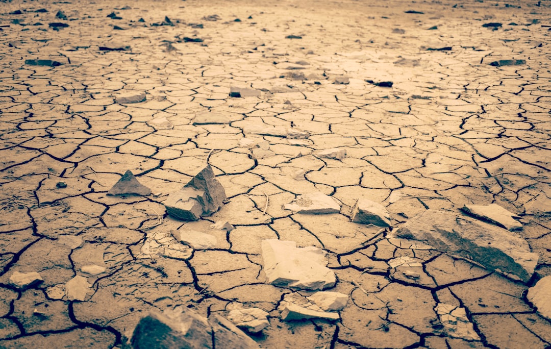 Understanding the Drought Situation (image credits: unsplash)