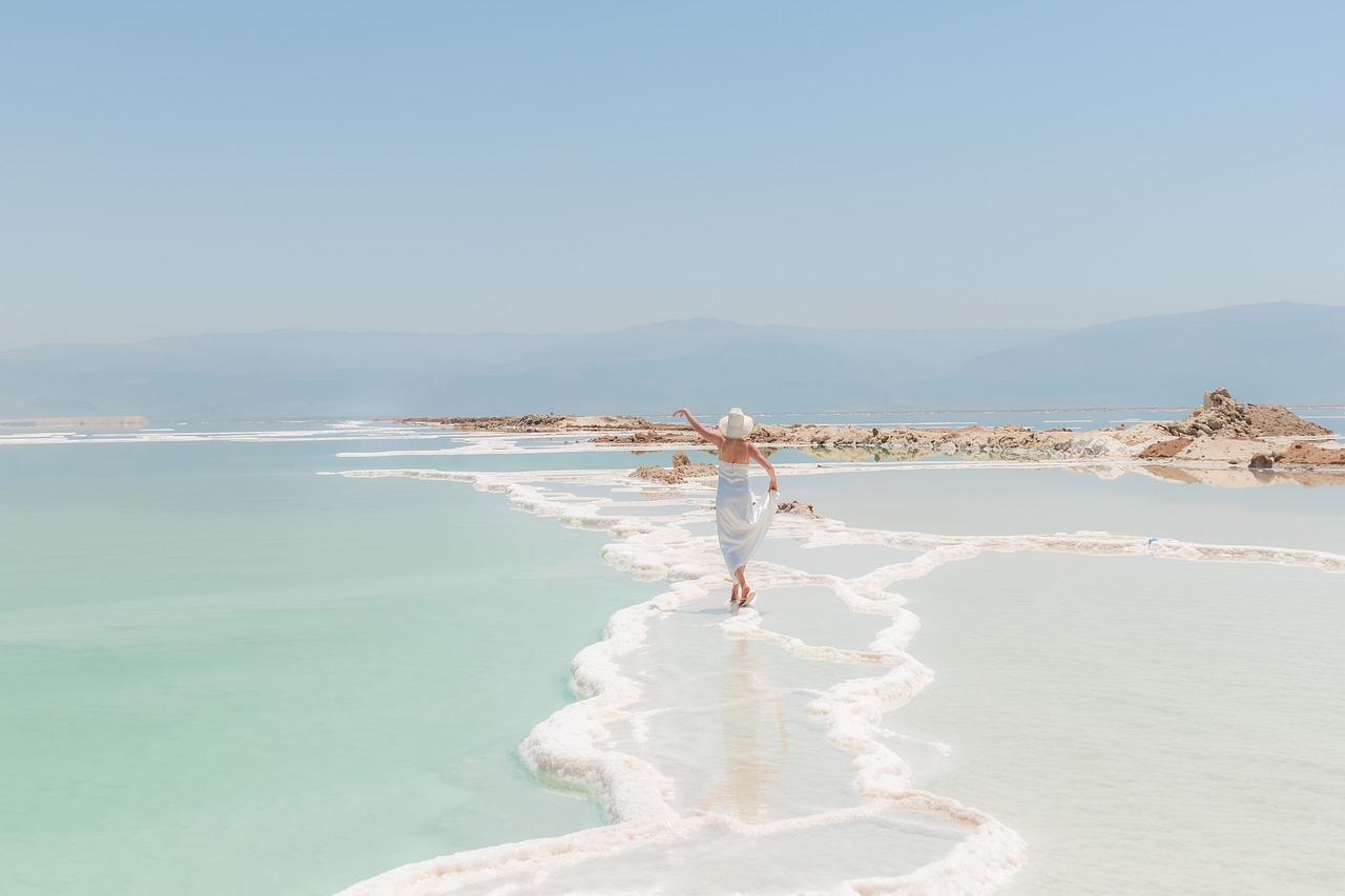 Adapting to Change (image credits: pixabay)