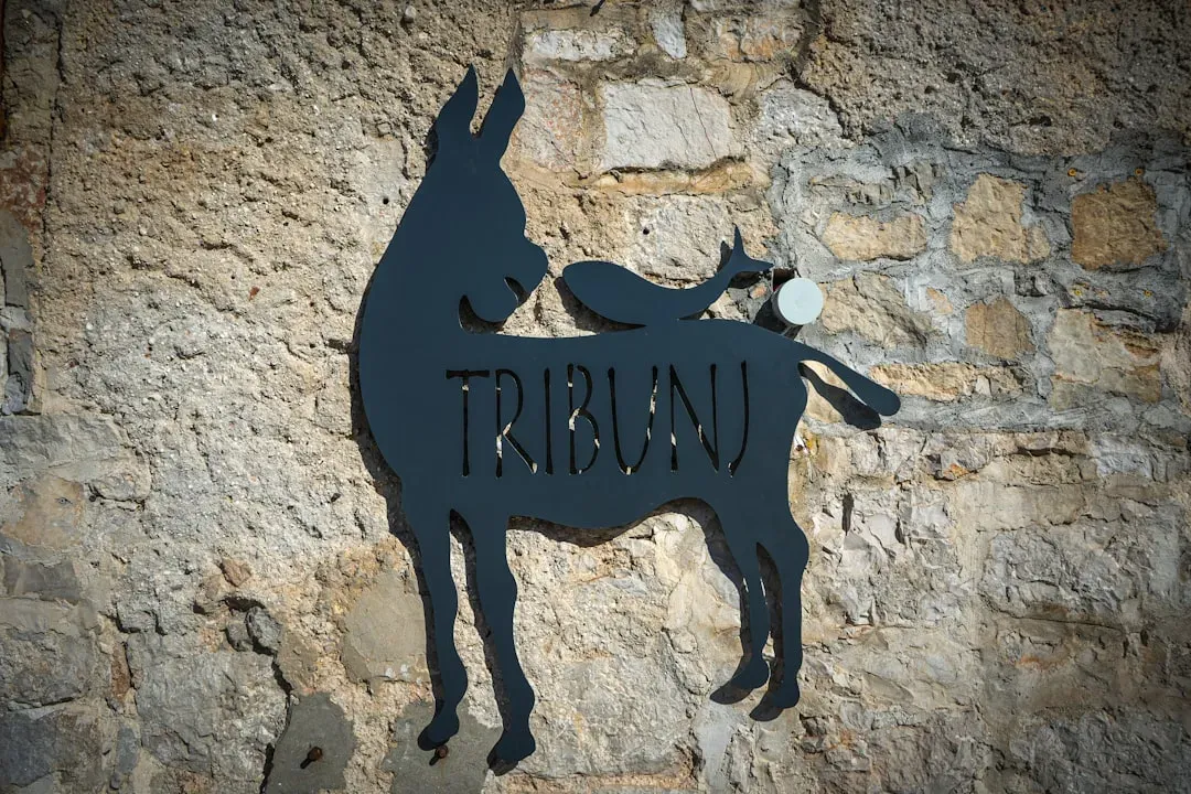 Taurus: Steady Progress and Recognition (Image Credits: Unsplash)